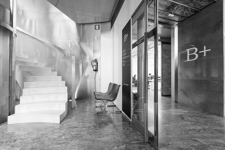 Intento de Extensión de la Causa de Disolución por Pérdidas y su Falta de Convalidación en el Congreso